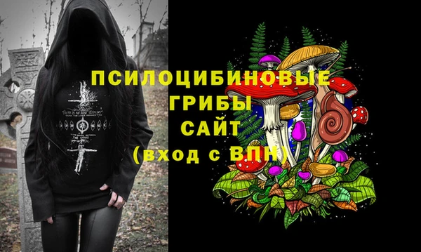 героин Богданович