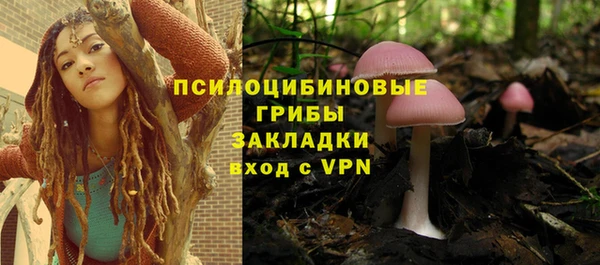 героин Богданович