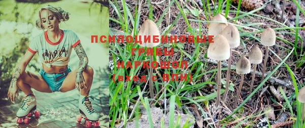 таблы Богородицк