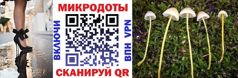 МЕГА вход Берёзовка Галлюциногенные грибы Magic Shrooms